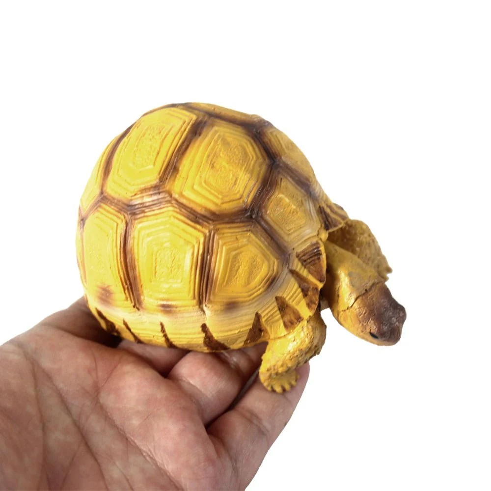NOMOYPET A4 Turtle Decoration/Prop - Image 3