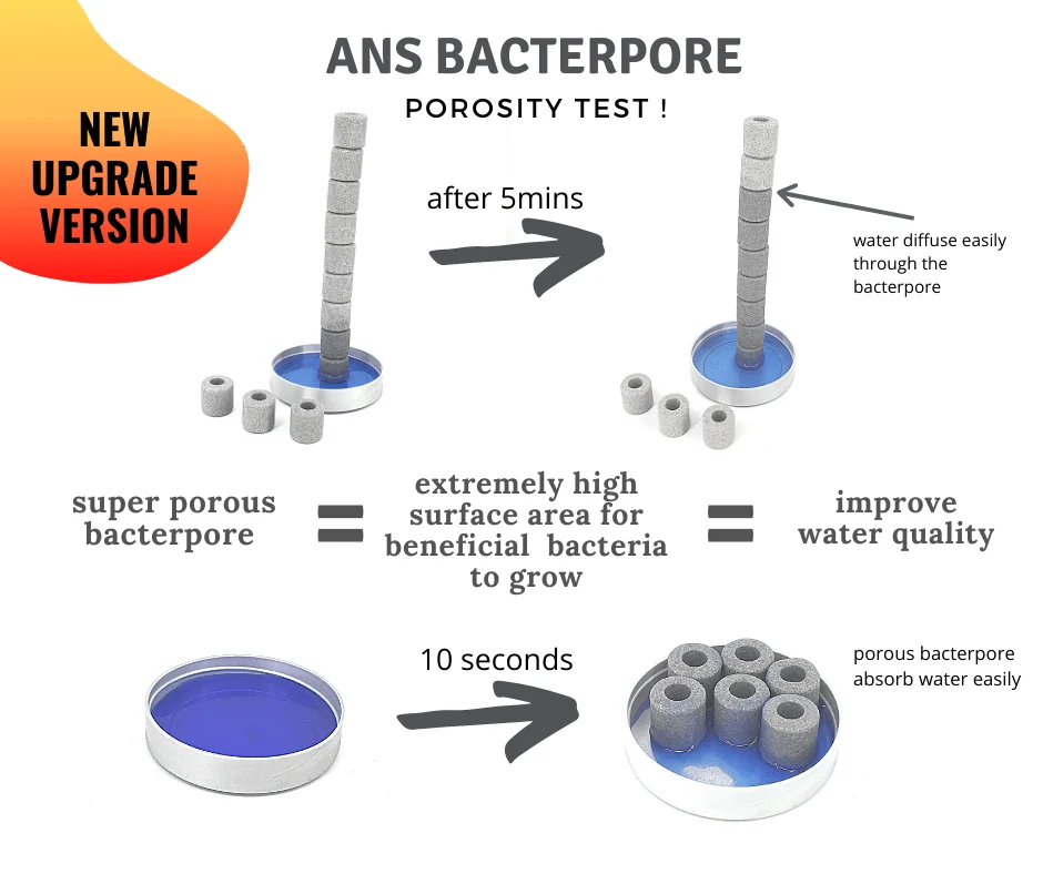 ANS BacterPore MaxSuper Porous Ceramic Rings | Aquarium Koi Pond | pH Neutral Long Lasting - Image 2