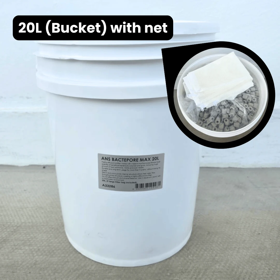 ANS BacterPore MaxSuper Porous Ceramic Rings | Aquarium Koi Pond | pH Neutral Long Lasting - Image 3