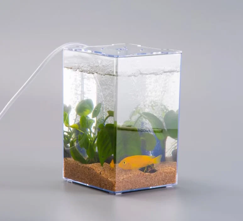 ANS Betta Competition Display Tank 13x12x19cm - Image 6
