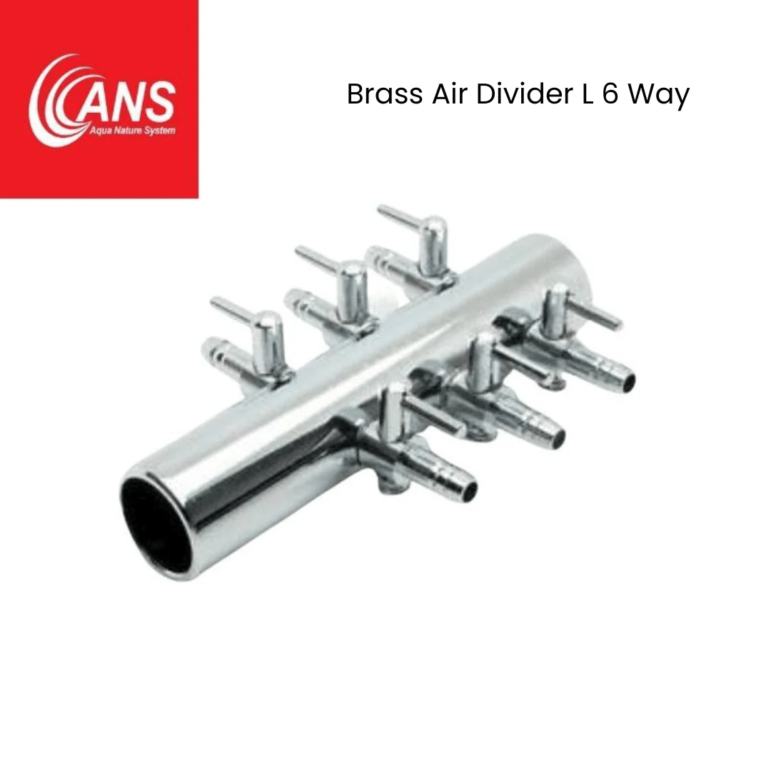 ANS Brass Air Divider (M/L) - Image 4