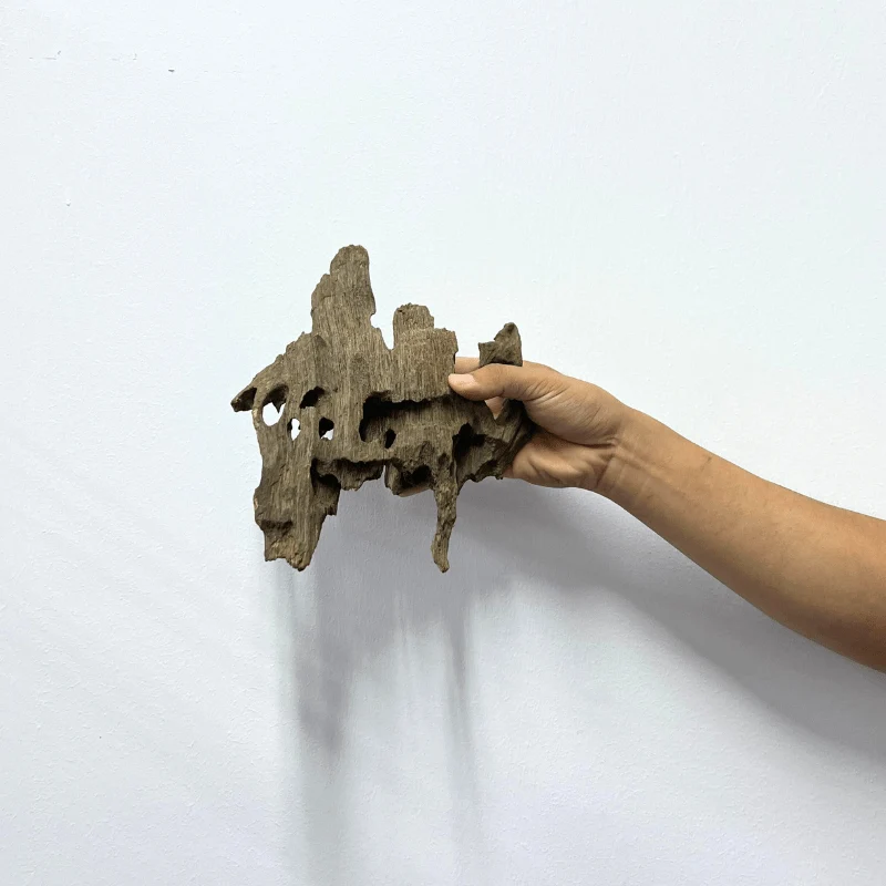 ANS Dragon Wood M (20-30cm) - Image 3