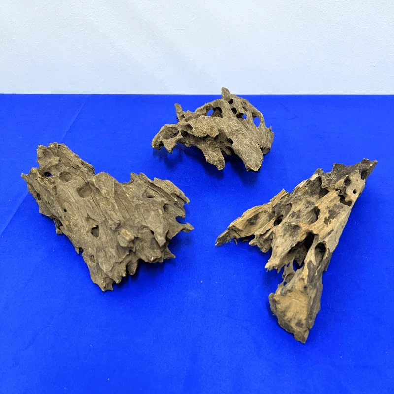 ANS Dragon Wood M (20-30cm) - Image 4