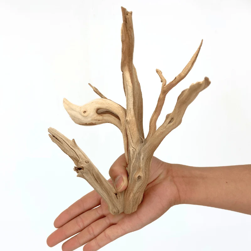 ANS Ghostwood Driftwood (Rare!) - Image 3