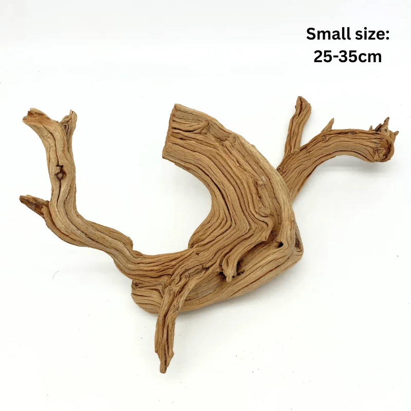 ANS Ghostwood Driftwood (Rare!) - Image 4