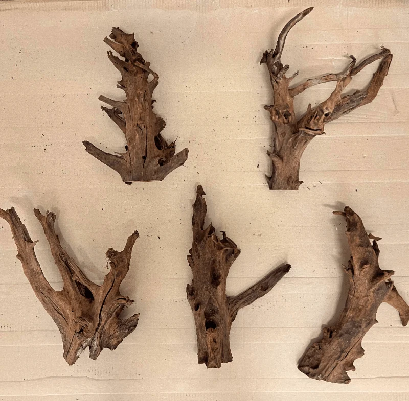 ANS Malayan Aquascape Driftwood M (30-38cm) - Image 2