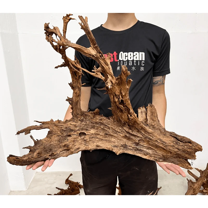 ANS Malayan Aquascape Driftwood XXL (70-80cm) - Image 5
