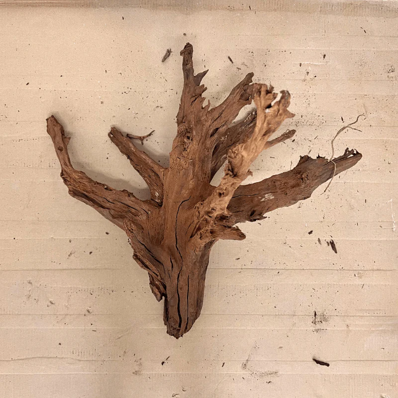 ANS Malayan Aquascape Driftwood XXL (70-80cm) - Image 6