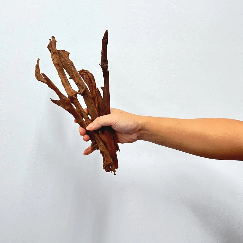 ANS Malayan Aquascape Stick M (20-40cm) - Image 2