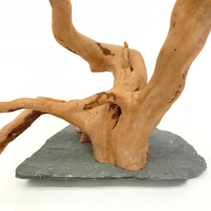 ANS Spider Wood Sculpture (S,M,L) - Image 3