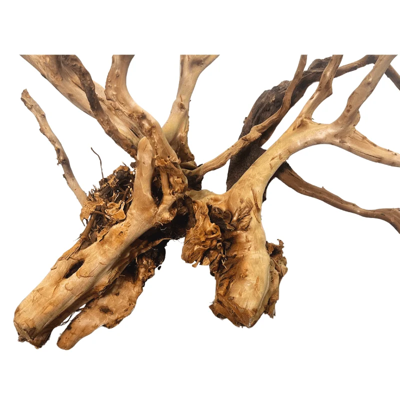 ANS Sumatra Driftwood (various size) - Image 13