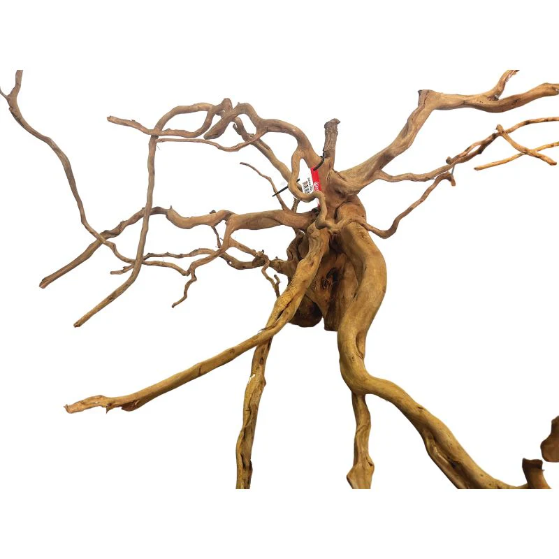 ANS Sumatra Driftwood (various size) - Image 15