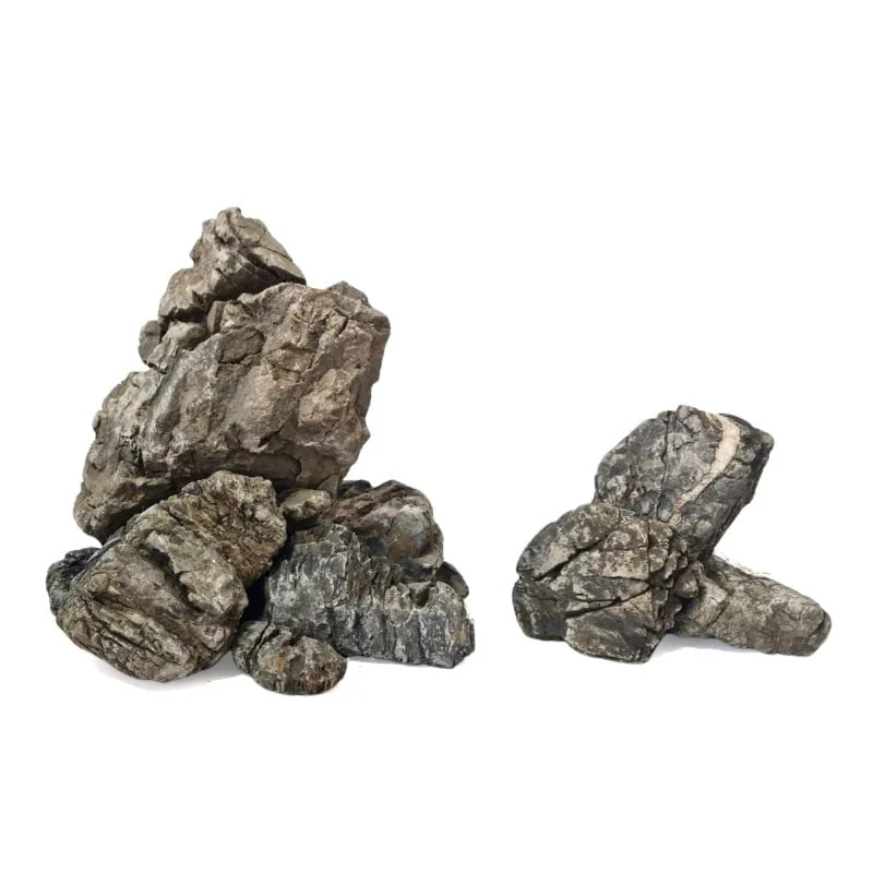 ANS Turly Rocks 20kg Box (S , M , L) - Image 3