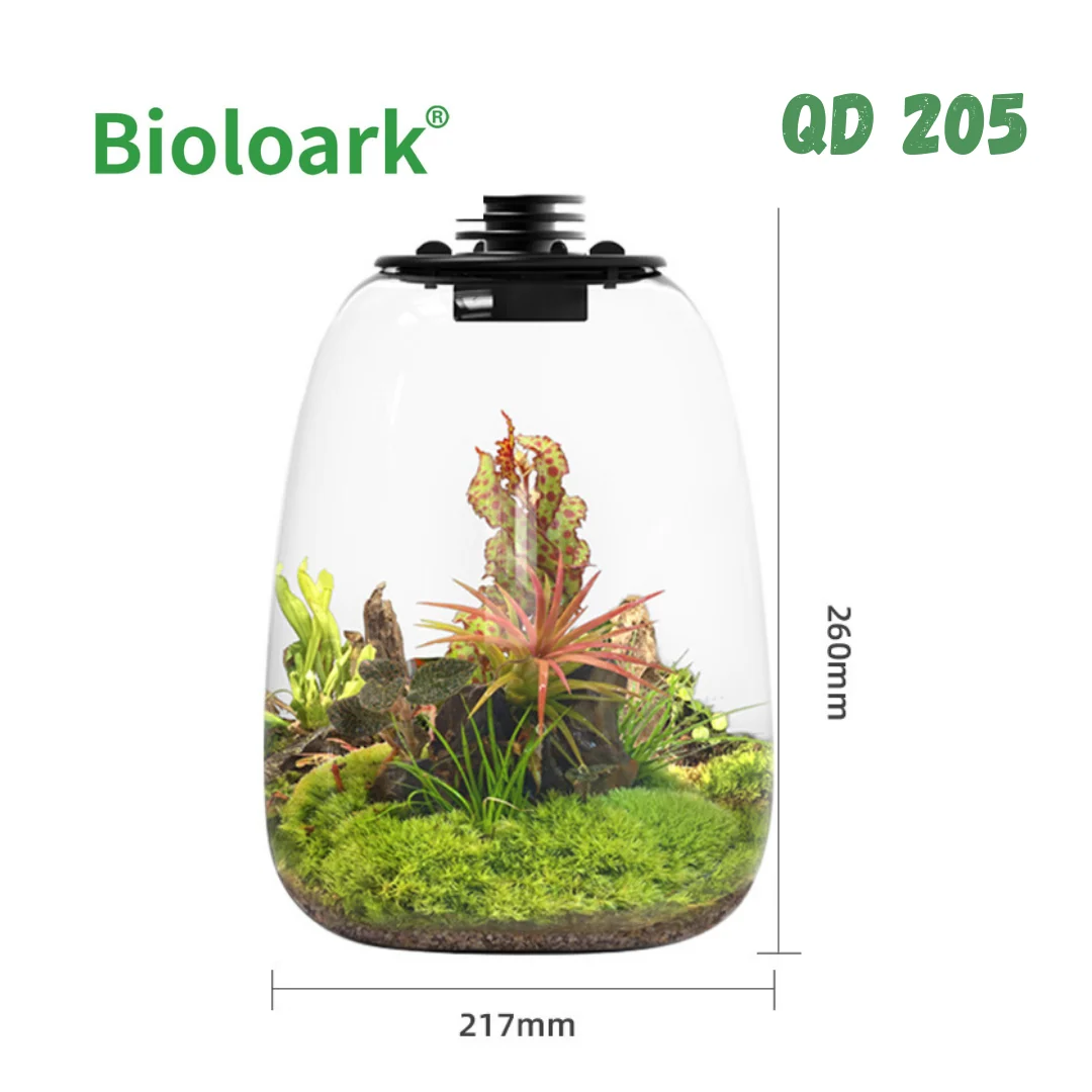 BIOLOARK - Bio Bottle Terrarium (QD-172/ QD-205) - Decoration Plant - Image 2