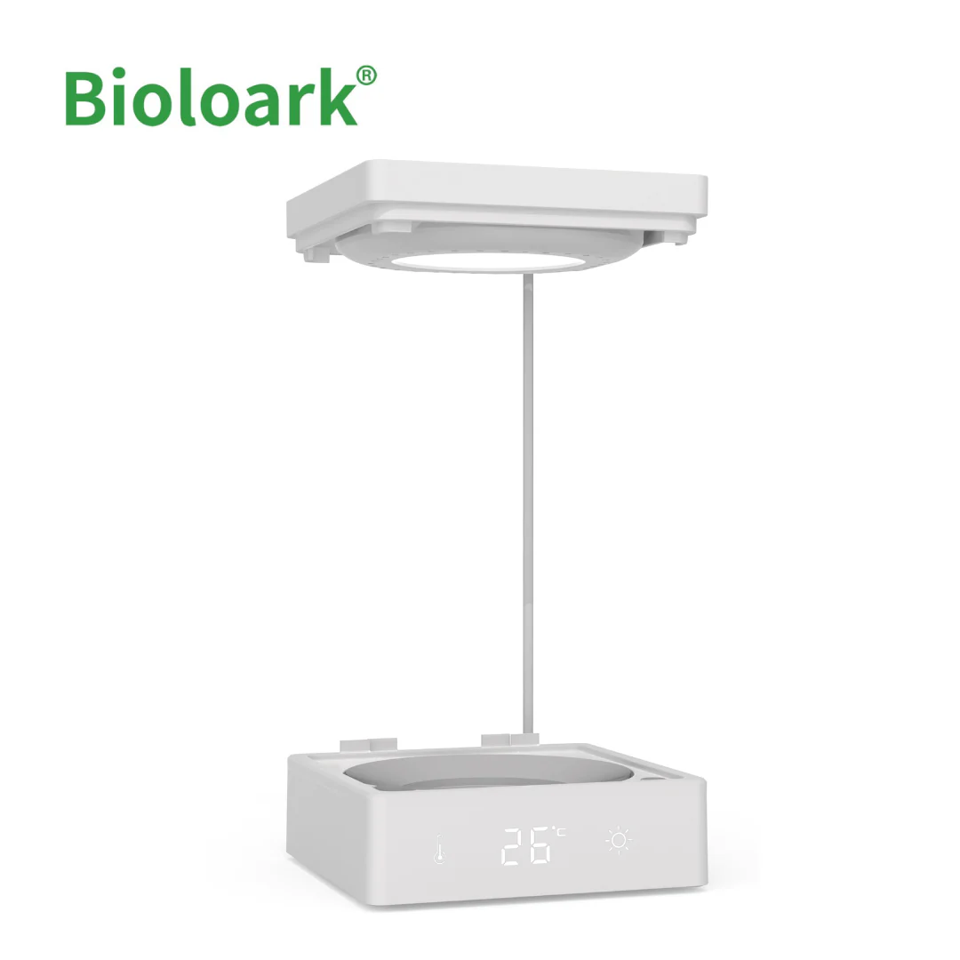 BIOLOARK BT-01 Betta Tank - Image 6