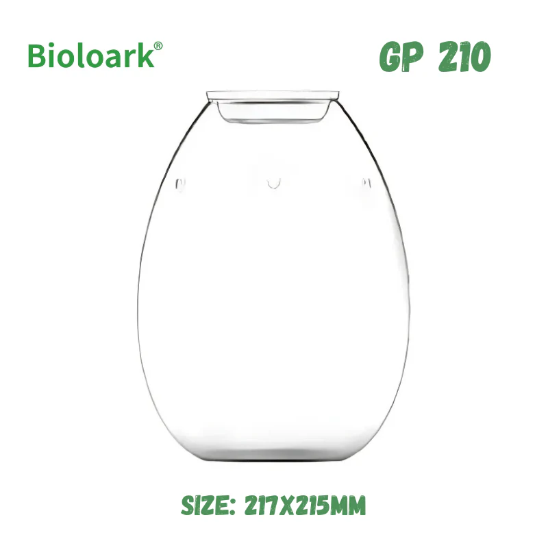 BIOLOARK - Glass Jar Terrarium (GP-175/205/210) - Image 4