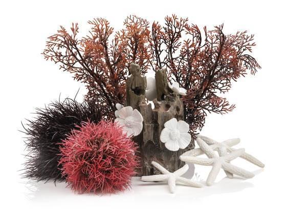 BiOrb Decor Set - Image 10
