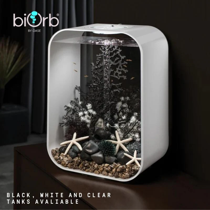 biOrb LIFE 45 Aquarium (MCR - Multi-Color Remote) - Image 3