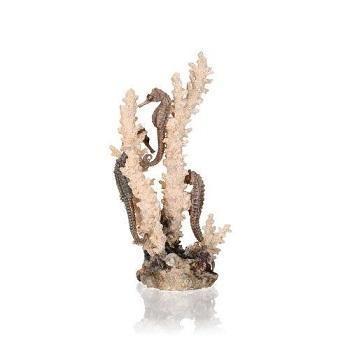biOrb seahorses on coral - Image 6
