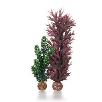 biOrb seapearls & Kelp - Image 3