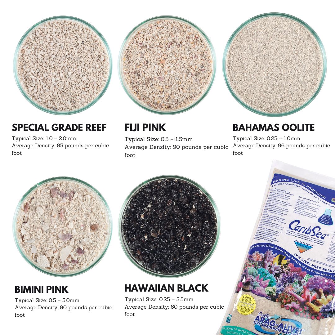 Caribsea Aragalive Fiji Pink (10/20lbs) - Image 3