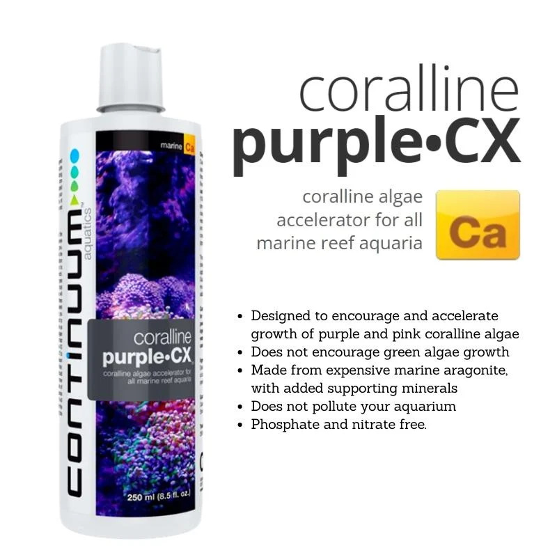 CONTINUUM Coraline Purple CX (improve coraline algae growth) - Image 3