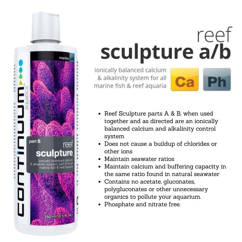 CONTINUUM Reef Sculpture Part B Liquid (Liquid dosing) - Image 4