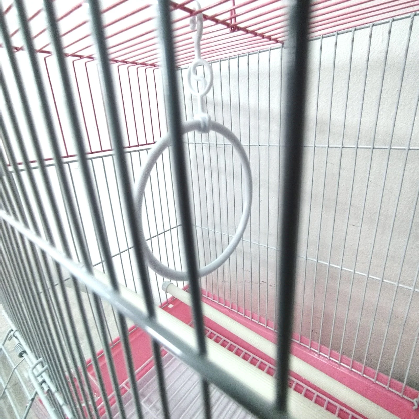 DAYANG A105 Bird Cage (30x23x39cm) - Assorted Colors - Image 3