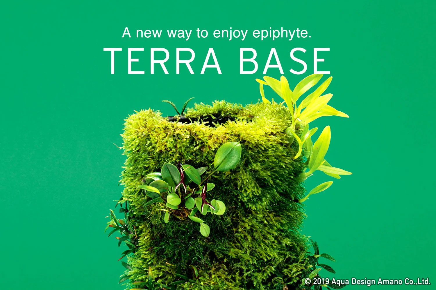 DOOA TERRA BASE M - Image 2