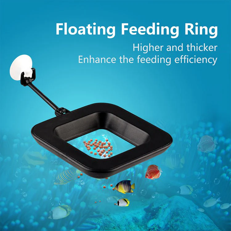 iLONDA Floating Red Worms Feeding Cup - Image 7