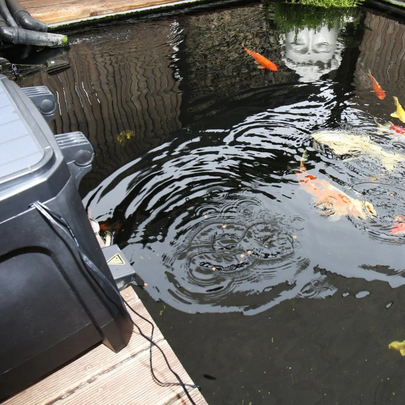 JBL PROPOND AutoFood (Weatherproof Solar Feeder For All Koi And Pond Fishes) - Image 5