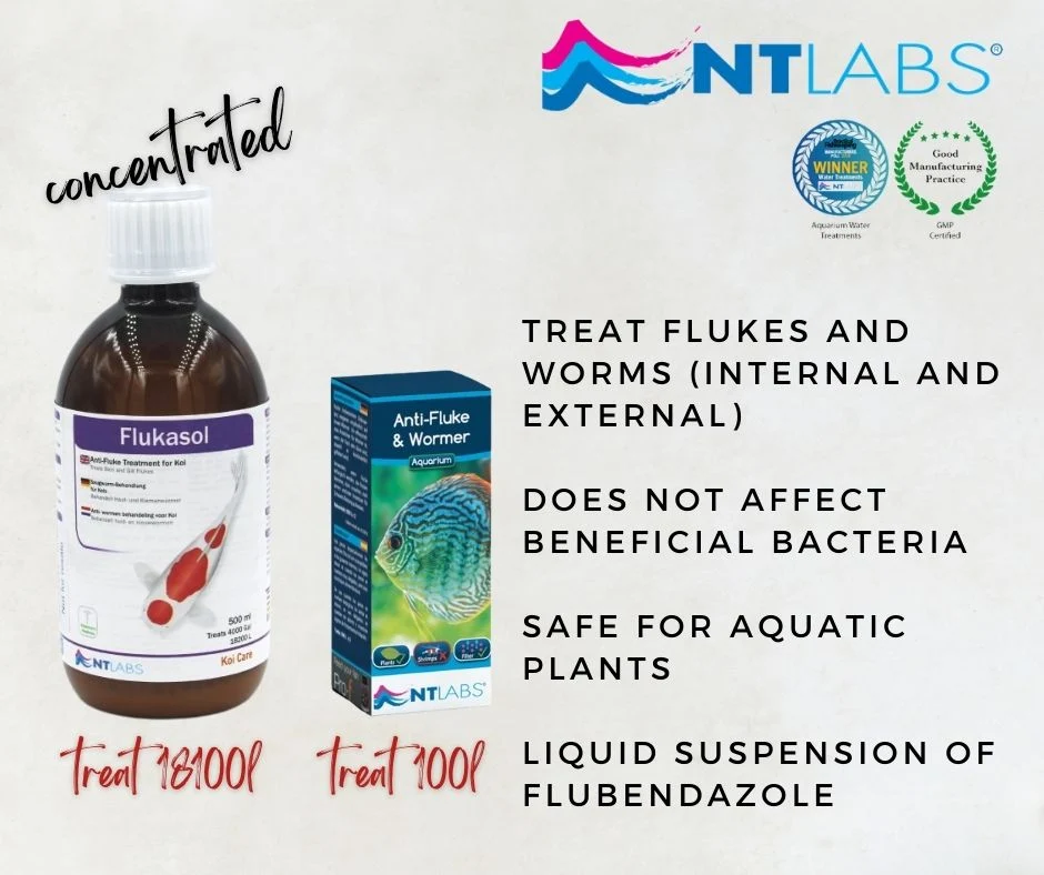 NT LABS Aquarium Anti-Fluke & Wormer (remove flukes and worms) - Image 3