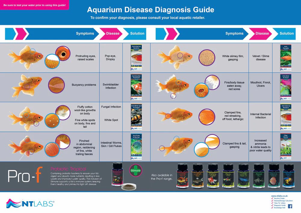 NT LABS Aquarium Anti-White Spot & Fungus - Image 4