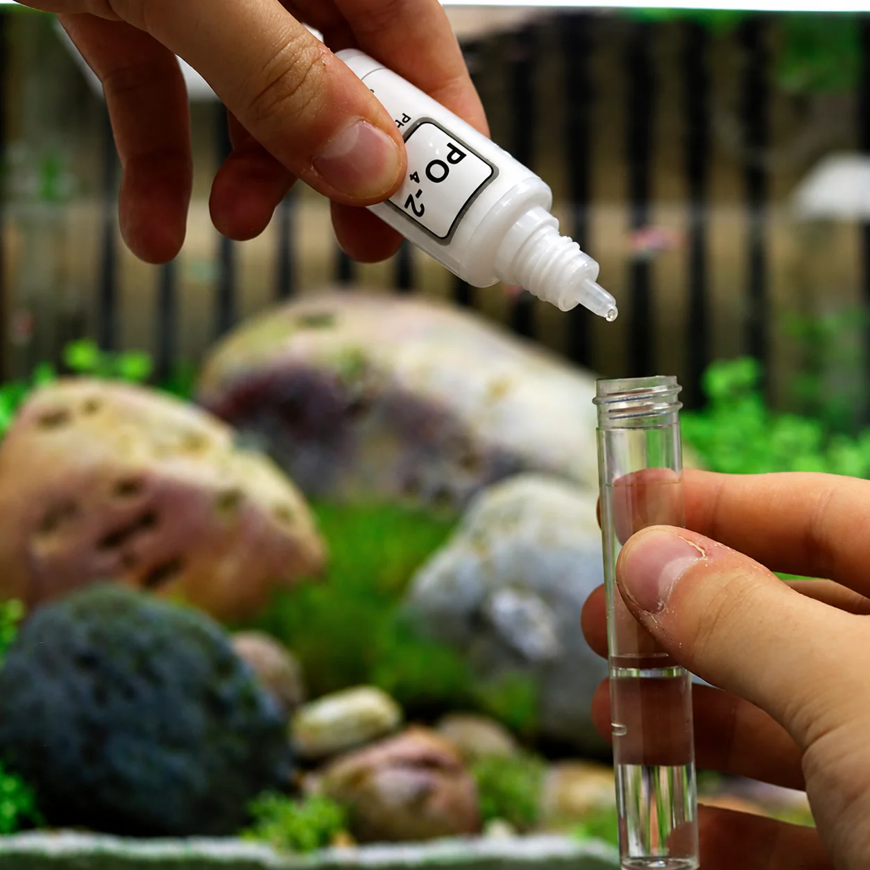 NT LABS Test Phosphate (PO4) - Image 3