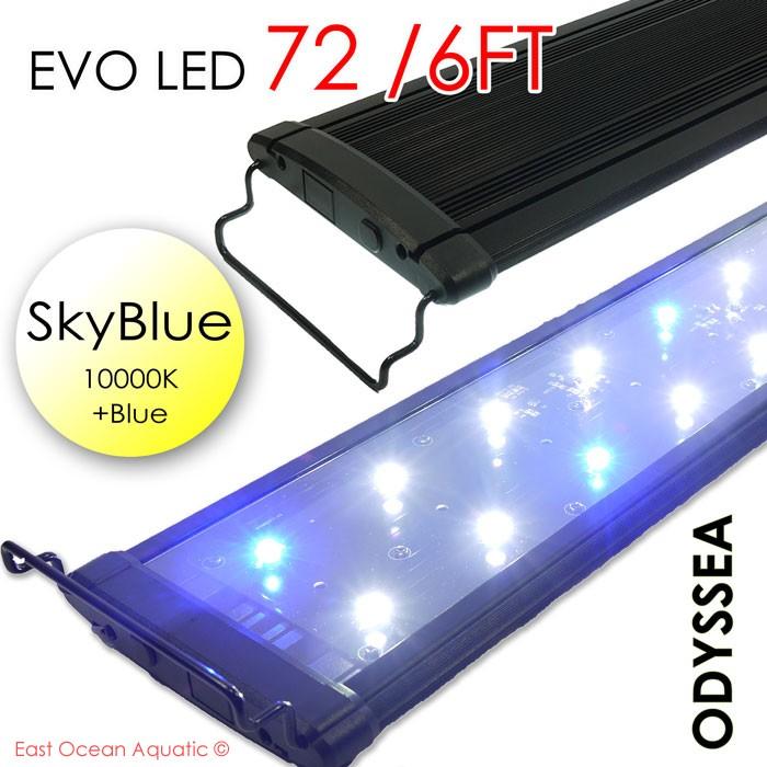 ODYSSEA EVO Led 72" 156W Skyblue (10000K+blue)