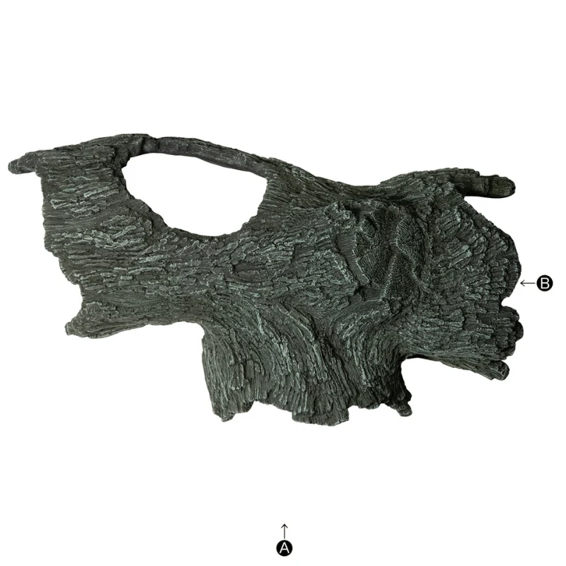 SUDO S-1829 Tunnel Ryuboku Bark L -  (Decoration for small fish) - Image 2
