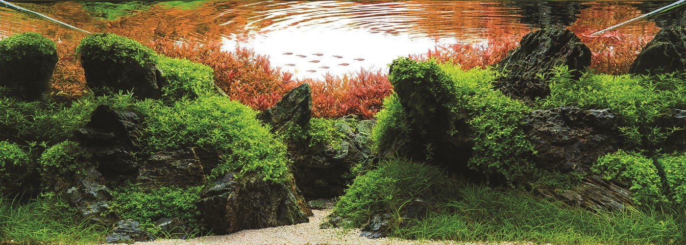 Tropica Substrate (iron rich base substrate) - Image 6