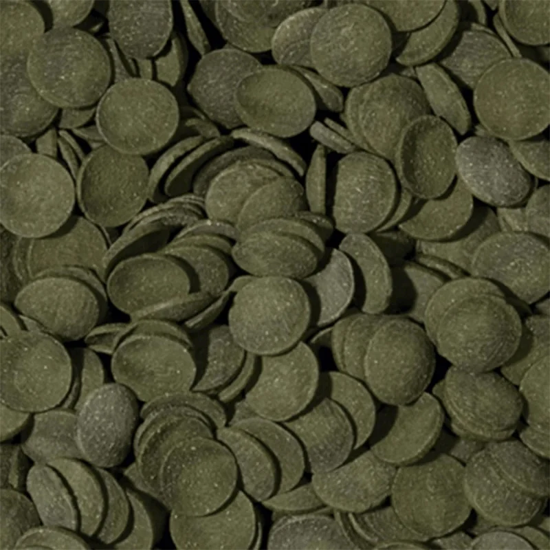 Tropical Green Algae Wafers (boost with spirulina) - Image 2