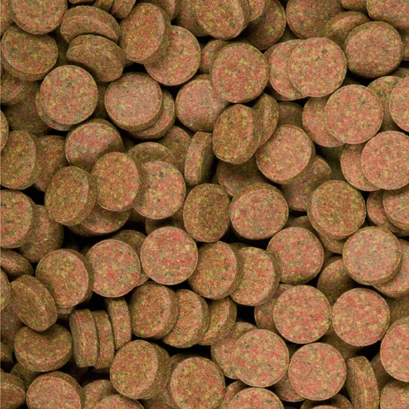 Tropical Supervit Tablets A (stick to tank) - Image 2