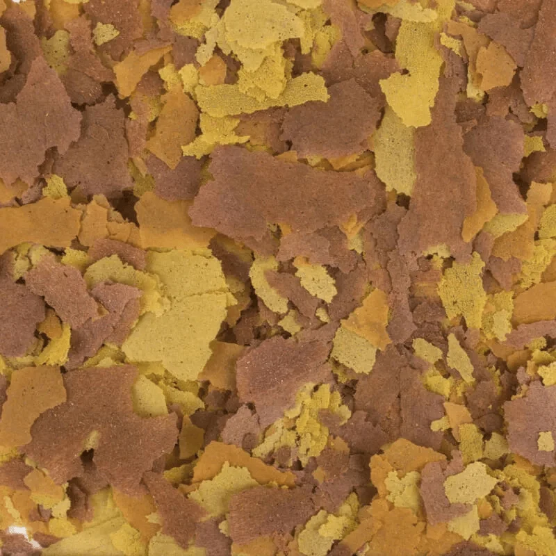 Tropical Vitality & Color Flakes (colour booster) - Image 2