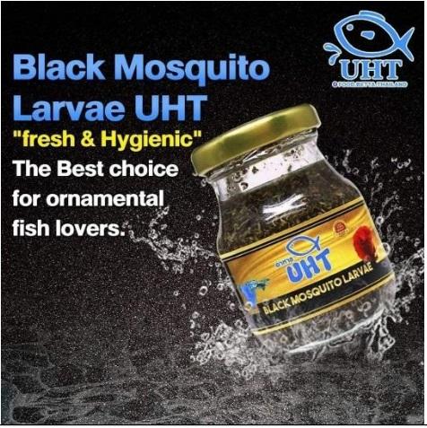 UHT Black Mosquito Larvae - 75g (Bottled) - Image 3