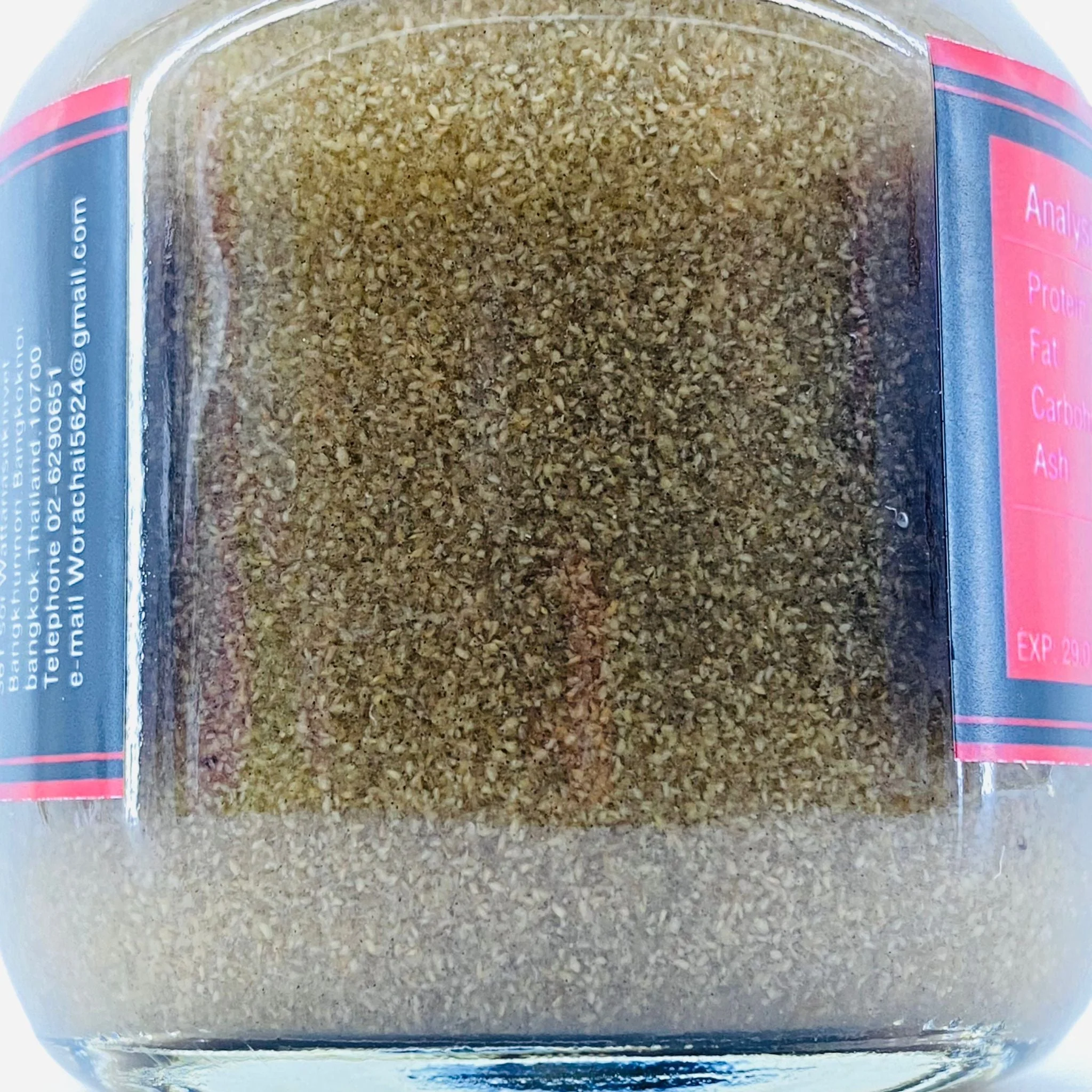 UHT Water Flea / Moina Macrocopa - 75g (Bottled) - Image 4