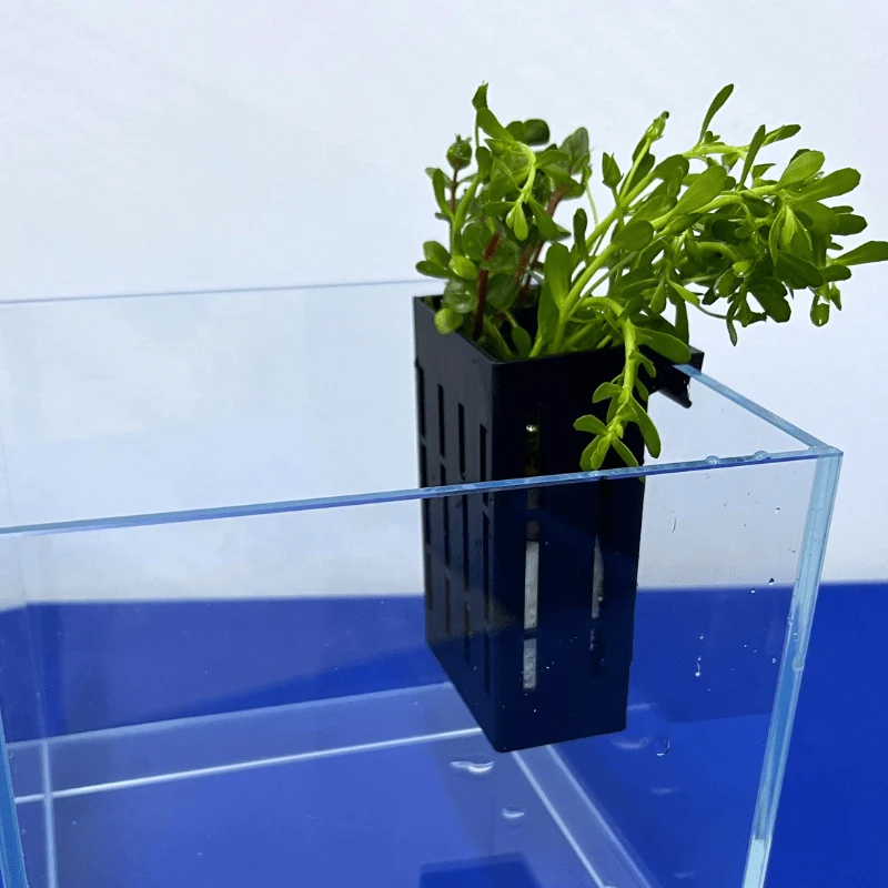 UP AQUA CA-AC-010-B Hydroponic Box (black/grey) Plant holder - Image 4