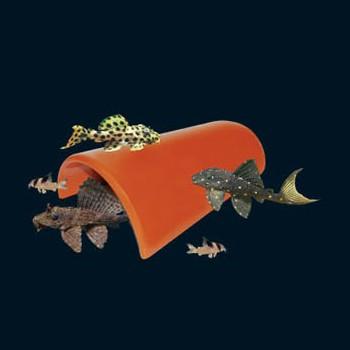 UP AQUA Deco (Various Design) - Image 3