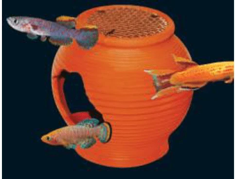 UP AQUA Deco (Various Design) - Image 7